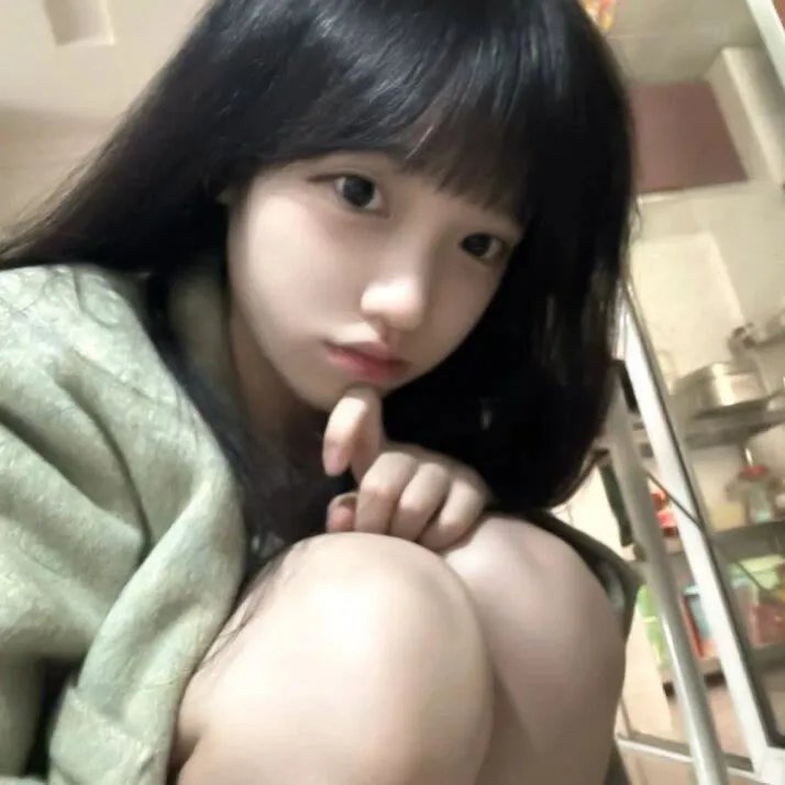 狮子军龙虎鬪